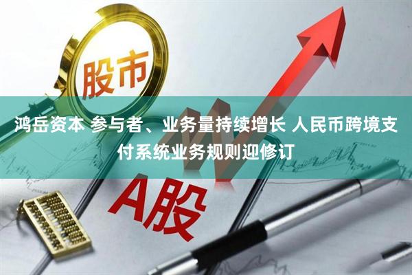 鸿岳资本 参与者、业务量持续增长 人民币跨境支付系统业务规则迎修订