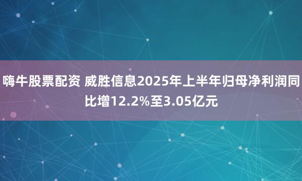 嗨牛股票配资 威胜信息2025年上半年归母净利润同比增12.2%至3.05亿元
