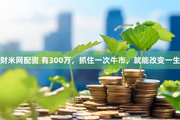 财米网配资 有300万,抓住一次牛市,就能改变一生